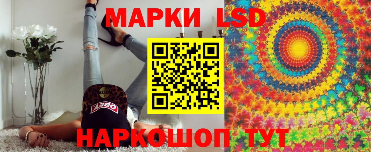 НБОМе  ГЕРОИН  Cocaine  Мефедрон   Вход с VPN  Тамбов  ГАШ  Где продают наркотики?  Каннабис 