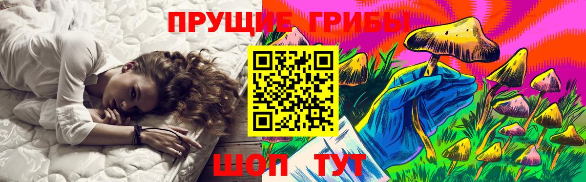 Тамбов  Галлюциногенные грибы мицелий  Псилоцибиновые грибы Psilocybe  Вход с VPN 