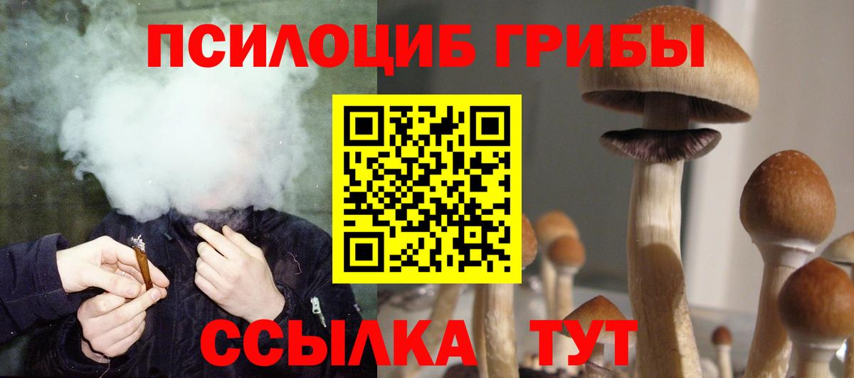 Псилоцибиновые грибы мицелий Тамбов